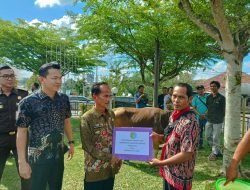 Kurban sebagai Simbol Persatuan, Pemkab Sintang Salurkan 8 Sapi untuk Warga