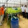 Kunjungan Tim Penilai Lomba Desa Tingkat Provinsi Berikan Dukungan untuk Desa Dak Jaya