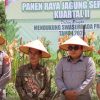 Panen Raya Bersama Petani, Sandan Tekankan Pentingnya Swasembada Pangan