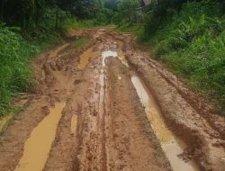 Kepala Desa Kempas Raya Serukan Alokasi Anggaran untuk Infrastruktur Jalan Vital