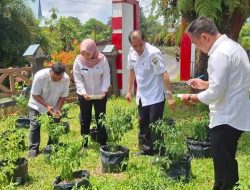 Kesbangpol Sintang Kembangkan Kebun Cabai di Lingkungan Perkantoran